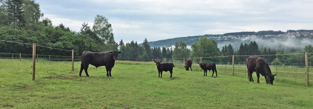 Wagyu Rindfleisch aus dem Schwarzwald